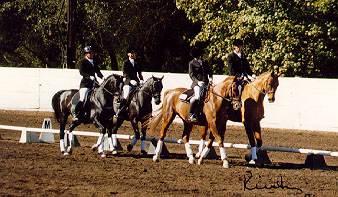 Cumpulsory Test - a winning moment as Sandy signals a turn