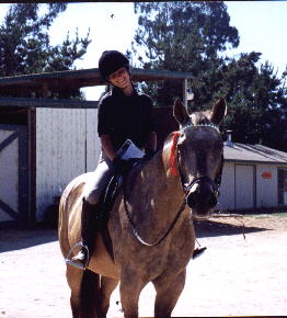 photo of Miss Tally - a saint in a horse suit