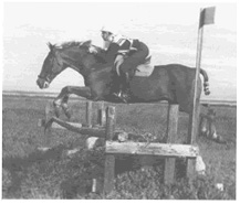 Horse and rider jumping a gate