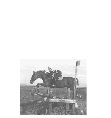 Bodies In Balance Horse and Rider