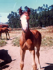 At 2 weeks he was all blaze and bunz...